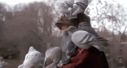 gif 2025 11 04 11 26 03